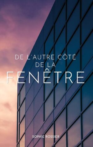 Communiquer à travers une fenêtre n'est pas ce qu'il y a de plus facile, surtout quand votre interlocuteur n'ose pas vous regarder en face. C'est pourtant le défi que s'est lancé Loïc, laveur de vitres, qui n'a plus qu'une journée pour tenter de faire comprendre à Adrien, un employé de bureau un peu trop timide, qu'il lui a tapé dans l'oeil.