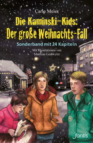 Die Kids freuen sich auf ihren Auftritt im Weihnachts-Musical, das diesmal im Regional-TV gezeigt werden soll. Doch es kommt anders: Ein Einbruch im Schulhaus zerstört die Aula, und so kurzfristig findet sich keine andere Halle. Wer steckt hinter dem Anschlag? Der Verdacht fällt auf zwei Jungs: Mirko, der Hafturlaub hat, und Manuel, ehemals Pflegejunge bei den Kaminskis. Die Kids versuchen im Lichterglanz des weihnächtlich verschneiten Dorfes Manuels Unschuld zu beweisen. Doch das ist schwieriger als erwartet. Werden sie es trotzdem schaffen, den wahren Täter zu finden? Und kann das Musical dank eines Einfalls der Kaminski-Familie doch noch über die Bühne gehen? - Ein stimmungsvoller Weihnachts-Krimi!