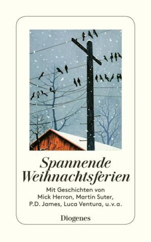 Wenn Geister ihr Unwesen treiben, Nachbarinnen morden und Weihnachtsmänner Einkaufszentren ausrauben, verspricht es, ein spannendes Weihnachtsfest zu werden. Es ist daher Vorsicht geboten auf der Skipiste, an der Betriebsfeier, am stürmischen Meer oder unter dem Mistelzweig, denn nicht alle kommen in diesen Geschichten heil im neuen Jahr an. Mit Geschichten von Mick Herron, Martin Suter, Joan Aiken, Viveca Sten und P. D. James. Mit einer exklusiven Geschichte von Luca Ventura.