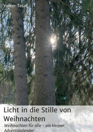 Im Zentrum des Romans steht ein Krippenspiel, das am 24. Dezember in einer kleinen Kirchengemeinde aufgeführt werden soll. In dem kleinen Dorf St. Quendolin lernen sich Magdalena und Stefan kennen. Beide werden vom Dorfpfarrer, einem Franziskanermönch, darum gebeten, für Weihnachten ein Krippenspiel einzustudieren mit möglichst vielen Kindern aus dem Dorf. Das Ziel des Paters ist es, in das Dorf und die düstere Kirche Licht zu bringen. Über die Tage des Advents organisieren die Jugendlichen Bühnenbilder, studieren die Rollen ein, überstehen ein folgenschweres Missgeschick, finden einen herrenlosen Hund, retten zwei Kinder vor dem Verschüttetwerden und führen dann ein weihnachtliches Krippenspiel auf, das alle Zuhörer und auch die Schauspieler tief bewegt. Während dieser 24 Kapitel entwickelt sich eine schöne Beziehung zwischen Magdalena und Stefan. Der Autor: Volker Tesar, Jahrgang 1959, hat im Deutschen Lyrikverlag Aachen zwei Lyrikbände, bei United PC einen Roman und im Vier-Türme-Verlag ein Weisheitsbuch veröffentlicht. Seine Themen sind von Spiritualität geprägt und weisen den Weg zu Veränderungen. Auch dieser kleine Roman gibt Zeugnis davon.