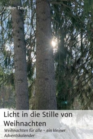 Im Zentrum des Romans steht ein Krippenspiel, das am 24. Dezember in einer kleinen Kirchengemeinde aufgeführt werden soll. In dem kleinen Dorf St. Quendolin lernen sich Magdalena und Stefan kennen. Beide werden vom Dorfpfarrer, einem Franziskanermönch, darum gebeten, für Weihnachten ein Krippenspiel einzustudieren mit möglichst vielen Kindern aus dem Dorf. Das Ziel des Paters ist es, in das Dorf und die düstere Kirche Licht zu bringen. Über die Tage des Advents organisieren die Jugendlichen Bühnenbilder, studieren die Rollen ein, überstehen ein folgenschweres Missgeschick, finden einen herrenlosen Hund, retten zwei Kinder vor dem Verschüttetwerden und führen dann ein weihnachtliches Krippenspiel auf, das alle Zuhörer und auch die Schauspieler tief bewegt. Während dieser 24 Kapitel entwickelt sich eine schöne Beziehung zwischen Magdalena und Stefan. Der Autor: Volker Tesar, Jahrgang 1959, hat im Deutschen Lyrikverlag Aachen zwei Lyrikbände, bei United PC einen Roman und im Vier-Türme-Verlag ein Weisheitsbuch veröffentlicht. Seine Themen sind von Spiritualität geprägt und weisen den Weg zu Veränderungen. Auch dieser kleine Roman gibt Zeugnis davon.