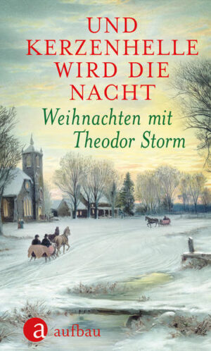 Leider hielt es der Verlag FISCHER Taschenbuch nicht für nötig, bei der Anmeldung im Verzeichnis lieferbarer Bücher sorgfältig zu arbeiten und das Buch Und kerzenhelle wird die Nacht von Theodor Storm mit einer Inhaltsangabe auszustatten.