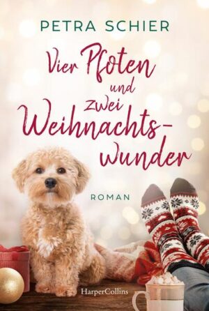 Zwischen Lena und Martin, den ihr Vater in der familieneigenen Sicherheitsfirma einstellt, fliegen die Fetzen. Und auch die neue Mitarbeiterin Maria hat ein Geheimnis, das sie mit Lenas Vater Arndt verbindet. Im Advent heißt es daher Gefühlschaos statt Besinnlichkeit. Auch der Weihnachtsmann sitzt in der Klemme: Er kann nur aktiv werden, wenn es einen offiziellen Weihnachtswunsch gibt. Als er schließlich sogar zwei erhält, ist es jedoch beinahe zu spät. Kann er mithilfe des kleinen Havanesers Buddy das Weihnachtsfest für die vier retten?