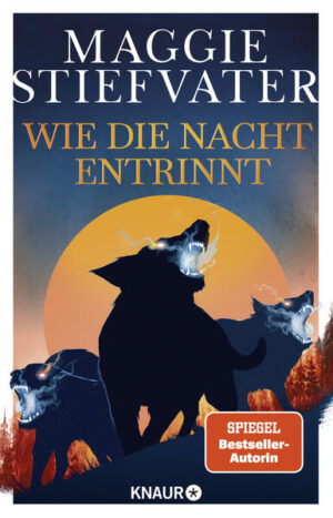 Leider hat der Verlag Knaur Taschenbuch es versäumt, dem Buchhandel eine Inhaltsangabe zu dem Buch "Wie die Nacht entrinnt" von Maggie Stiefvater zur Verfügung zu stellen. Das ist bedauerlich, aber wir stellen unseren Leser und Leserinnen das Buch trotzdem vor.