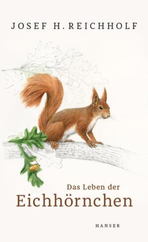 Was macht Eichhörnchen so faszinierend? - Josef H. Reichholf entführt in die unbekannte Lebenswelt direkt vor unserer Haustür. Mit akrobatischen Sprüngen turnt es durch die Baumwipfel, um wenig später äußerst geschickt Nüsse im Garten zu verstecken: Das Eichhörnchen, Sympathieträger Nummer eins unserer Tierwelt. Der renommierte Biologe Josef H. Reichholf zeigt, dass es dafür gute Gründe gibt. Schließlich macht es nicht nur großen Spaß, Eichhörnchen zu beobachten, wir können von ihnen und ihren Verwandten auch viel über uns selbst lernen. Reichholf erklärt, warum auch Eichhörnchen spielen, wie Siebenschläfer uns helfen können, unsere Herbstmelancholie zu überwinden - und wie er es mit einem Eichhörnchen zu tun bekam, das vom Himmel fiel. Eine spannende Naturkunde, die uns die Tiere mit anderen Augen sehen lässt.