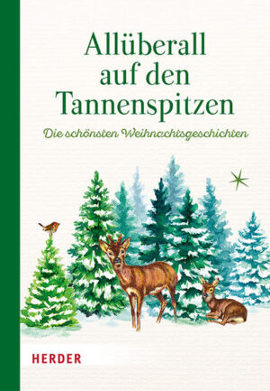 Weihnachtszeit ist Geschichtenzeit. Die schönsten Weihnachtsgeschichten sind in diesem kleinen Band versammelt: klassische Geschichten, die zum beliebten Weihnachtsrepertoir gehören, und weniger bekannte zum Neuentdecken - besinnlich, stimmungsvoll und auch mal lustig-frech. Ein besonderes Weihnachtsgeschenk.