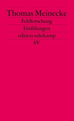 Wieso schaltete das Ehepaar Richard Gere und Cindy Crawford eine ganzseitige Anzeige in der Times, um klarzustellen, daß ihr gegenseitiges Verlangen heterosexueller Natur ist? War Patti Smith wirklich mit Robert Mapplethorpe verheiratet? Ist es Zufall, daß die Stonewall Riots 1969 nach der Beerdigung von Judy Garland begannen? War der erste AIDS-Tote, der sogenannte Patient Zero, tatsächlich ein Flugbegleiter? Warum eröffnete Ronald Gay im September 2000 das Feuer auf die Gäste einer Gay Bar in Roanoke, Virginia? Die Erzählungen von Thomas Meinecke speisen sich aus Gerüchten, Zeitungsmeldungen und Abhandlungen verschiedenster Provenienz und befassen sich mit historischen Kippmomenten der sexuellen Kulturen. Sie bilden, angeregt durch den Kurator Frank Wagner, den narrativen Beitrag zur im August 2006 eröffneten Ausstellung »Das achte Feld. Geschlechter, Leben und Begehren in der Kunst seit 1960« im Museum Ludwig, Köln.