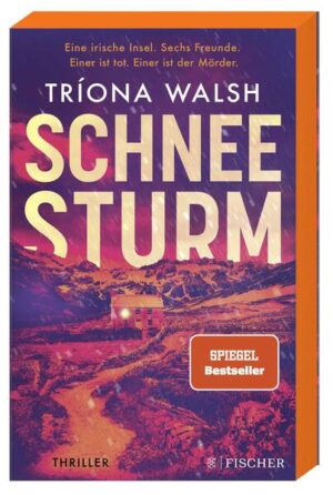 Leider hielt es der Verlag Piper nicht für nötig, bei der Anmeldung im Verzeichnis lieferbarer Bücher sorgfältig zu arbeiten und das Buch Schneesturm von Tríona Walsh mit einer Inhaltsangabe auszustatten.