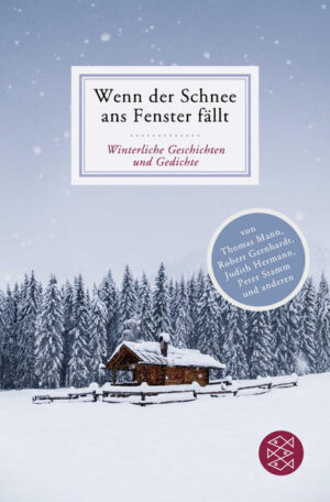 Leider hielt es der Verlag dtv Verlagsgesellschaft nicht für nötig, bei der Anmeldung im Verzeichnis lieferbarer Bücher sorgfältig zu arbeiten und das Buch Wenn der Schnee ans Fenster fällt von N. N. mit einer Inhaltsangabe auszustatten.