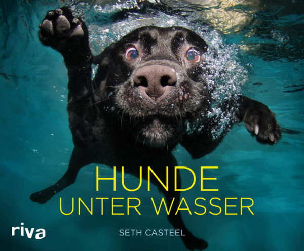 Von außen sieht es aus wie eine einfache Übung. Ein Sprung. Ein Platsch. Und schließlich taucht der Hund mit einem Ball im Maul freudig wieder auf. Unter der Wasseroberfläche verborgen jedoch ist es ein wunderbares Ballett aus Luftbläschen, gefletschten Zähnen, hektisch paddelnden Pfoten und wogenden Ohren. In 80 außergewöhnlichen Porträts zeigt der preisgekrönte Fotograf und Tierschutzaktivist Seth Casteel unsere vierbeinigen Freunde von einer ganz neuen Seite. Dieses Buch ist eine Liebeserklärung an die wilde und ungestüme Freude, die Hunde in unser Leben bringen.