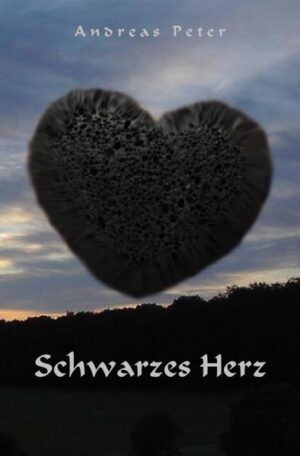 Das „Schwarze Herz“ ist ein Märchen für die Adventszeit, eingeteilt in 24 Kapitel, als eine andere Art Adventskalender. „Dereinst wird ein Schwarzes Herz über das Land kommen. Dieses Schwarze Herz wird das Land ins Unglück stürzen, die Schwärze auch in die Herzen aller Menschen in diesem Lande bringen und sie verderben. Schleichend wie ein Gift wird es sich überall ausbreiten, unbemerkt, bis die Dunkelheit in allem Menschen eingekehrt und alles Leben in ihnen gestorben sein wird.“ Dass es diese Legende gibt und was sie für eine Bedeutung haben würde, das wissen die beiden Zwillingskinder des Königs nicht, bis kurz bevor sie volljährig werden und ihr Schicksal selbst in die Hand nehmen müssen.