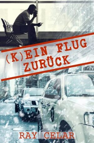 Kyle muss seinen Flug nach Texas unbedingt bekommen! Nachdem er seinen Neffen in der jüngsten Vergangenheit so oft vertröstet hat, kann er es sich nicht leisten, schon wieder ein Versprechen zu brechen. Als jedoch ein Schneesturm seine Pläne durchkreuzt und ein alter Bekannter zurück in Kyles Leben geschneit kommt, wird aus der Reise zurück zu seiner Familie eine Reise zurück in seine Vergangenheit. Schon bald muss sich Kyle die Frage stellen, was nun Vergangenheit und was Zukunft ist.