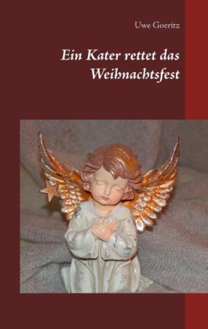 Altersempfehlung: ab 16 Jahre Ihr ganzes Leben scheint in Scherben gebrochen zu sein. Kurz vor Weihnachten sitzt Karo in ihrer Wohnung und heult sich ihre Seele aus dem Leib. Alles kommt ihr so sinnlos vor. Doch dann klopft ein kleiner Kater an ihr Fenster und wirbelt ihr ganzes Dasein durcheinander. Wird es vielleicht doch noch ein schönes Weihnachtsfest für die junge Frau?