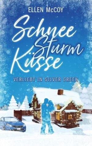 Wie perfekt muss Mr. Perfect eigentlich sein? Beth Andrews weiß genau, wie ihr Traummann sein sollte, leider ist dieser weit und breit nicht in Sicht. Als sie kurz vor Weihnachten auch noch ihren Job verliert und ihr Wagen in einem Schneesturm liegen bleibt, scheint sie am Tiefpunkt ihres Lebens angekommen zu sein. Gestrandet in Silver Creek ist sie zu allem Überfluss auf die Hilfe von Richard angewiesen - einem Mann, der abweisend und zynisch ist und allein in einem ehemaligen Hotel haust. Mit dieser Frau, die unverhofft vor seiner Tür steht, möchte er nichts zu tun haben, da sie ihn an das Leben erinnert, das er aus gutem Grund für immer hinter sich ließ. Doch der Schnee und das liebenswert verrückte Silver Creek bringen so manche festgefahrene Haltung zum Wanken ... Eine winterlich-romantische Liebeskomödie über alte Wunden, zu hohe Erwartungen und die Liebe auf den zweiten Blick. Zum Schmunzeln, Träumen und dahinschmelzen.