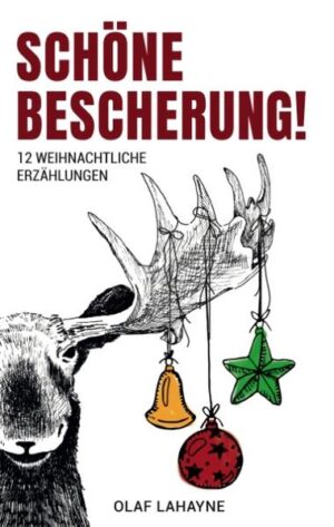 Diese Anthologie enthält 12 Erzählungen, die rund ums Thema Weihnachten kreisen: Zeitlich angesiedelt zwischen dem Ursprung des Festes, der Gegenwart und der Zukunft, räumlich zwischen dem verschneiten Norden, dem verregneten Mitteleuropa sowie der Judäischen Wüste. Kaum je verlaufen die Feiertage wie geplant oder erwartet, aber wäre es andernfalls nicht langweilig? Krimi, Mystery, Science-Fiction, Historie, Abenteuer und Satire sind in dieser bunten Mischung enthalten, Kitsch und Sentimentalität dagegen (hoffentlich!) nur in Spurenelementen. Einige der Texte wurden bereits in Anthologien und Zeitschriften abgedruckt