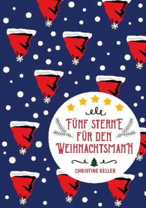 Wünsche sind gefährlich, denn sie können sich erfüllen… Fortunatus Wiesendanger ist 12 Jahre alt und hochbegabt. In seiner Schule, dem Internat Faraday Promise, gilt er als liebenswerter Sonderling. Bald ist Advent, doch 'Fortis' Leben befindet sich auf einem Tiefpunkt. Seine Eltern sind geschieden, die Beziehung zum Vater ist schwierig, und seine Mutter unterrichtet ausgerechnet die 6a, seine Klasse. Glücklicherweise steht sein bester Freund Silo immer loyal an seiner Seite. Von Weihnachtsstimmung kann keine Rede sein. Bis plötzlich Herr Stern, Ersatzlehrer und Weihnachtsmann der besonderen Art, auftaucht, und ein Wunder nach dem andern geschieht. 'Fortis' Welt wird total durcheinandergewirbelt. Was für ein Zusammenhang besteht zwischen Herrn Stern und den verrückten Ereignissen? Vor allem: Was spielt sich zwischen seiner Mutter und dem Ersatzlehrer ab? Und dann ist da noch die von 'Fortis' bewunderte Ashley. Können sich Herzen einander nähern, wenn sie Lichtjahre voneinander entfernt zu sein scheinen? Ein fantastischer All-Age-Weihnachtsroman, der zeigt, dass Freundschaft und Liebe keine Grenzen kennen, und es Dinge im Leben gibt, die nicht einmal die Wissenschaft erklären kann.