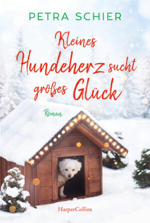 Werden Weihnachtswünsche wahr? Eine warme Küche und zwei Menschen, die ihn umsorgen - so stellt sich der kleine zerzauste Mischlingshund Amor das Glück vor! Als er eines kalten Winterabends in der städtischen Sozialstation auftaucht, lässt er sich von der schüchternen Lidia und dem Sozialarbeiter Noah das Ohr kraulen. Glücklich erkundet Amor darauf die Küche, schnüffelt an köstlichem Schokokuchen - und stibitzt Lidias Geldbeutel. Noah und Lidia versuchen ihn einzufangen und scheinen sich dabei sogar näherzukommen … Amor sieht seine Chance, die Liebe in ihr Leben zu bringen und ein echtes Zuhause zu finden.