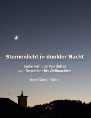 In der Advents- und Weihnachtszeit ist es besonders gemütlich, in einem warmen Raum zu sitzen und in einem Buch zu blättern. Mit Gedichten, kurzen Texten und Bildern stimmt Irene Meyer ein auf diese besondere Zeit des Jahres, in welcher die Lichter in der Dunkelheit besonders willkommen sind.