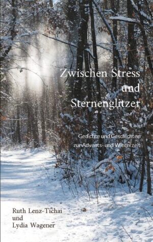 Heitere und nachdenkliche Texte zur Advents- und Winterzeit. Kurzgeschichten und Gedichte vom Stress in der Vorweihnachtszeit und zum Fest bis zum Sternenglitzern in Schaufenster und am Nachthimmel. Poesie und Lyrik, gereimt und ungereimt