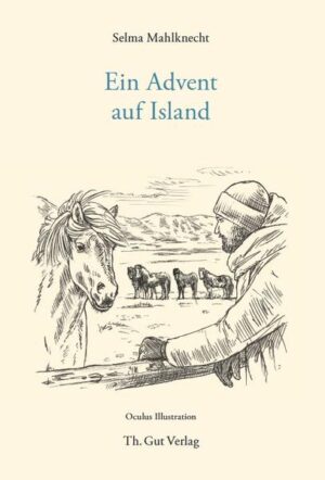 Alleine reist Finn nach Island, ohne Zoe, die den Urlaub hat platzen lassen. Im Ferienhaus funktioniert nicht alles wie es soll. Dafür erwarten ihn ein Kühlschrank voller Bier und eine nächtliche Begegnung mit wundersamen Gestalten, die ihm eine Aufgabe stellen. Finn versucht alles, dennoch das Beste aus dem Urlaub zu machen. Nur hat er nicht mit der Hartnäckigkeit seiner Mitbewohner gerechnet. Mit Informationen zu Weihnachtsbräuchen auf Island und einem Rezept für eine traditionelle Skyrtorte.