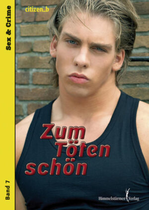 Ein Serienkiller ermordet Schwule auf Parkplätzen, die als Treffpunkte für anonymen Sex gelten. Der blonde Abiturient Lucien und der schwarzhaarige Stricher Billy verdingen sich als Lockvögel, um der Bestie eine Falle zu stellen. Beide sind zum Töten schön! Auf ihrer rastlosen Suche entlang der Autobahn laufen ihnen eine ganze Reihe schräger Vögel über den Weg: die durchgeknallte Chefin eines schwulen Internetforums, ein nekrophiler Beerdigungsunternehmer, ein skrupelloser Sensationsreporter, falsche Zeugen, Betrüger, Schwulenhasser und ein Hellseher, der behauptet, die Morde vorhersagen zu können. Dann verlieben sich Billy und Lucien ineinander, während der irre Killer immer wieder zuschlägt Popliterat citizen_b (Gaytomas, Die Yumbo Center Boys, Der Fußballgott u. v. a,) hat sich dem wahren Fall des Parkplatzmörders angenommen, über den auch in Aktenzeichen XY berichtet wurde. Herausgekommen ist ein atemberaubender Thriller voller Sex, Gewalt, unerträglicher Spannung und schwarzem Humor.