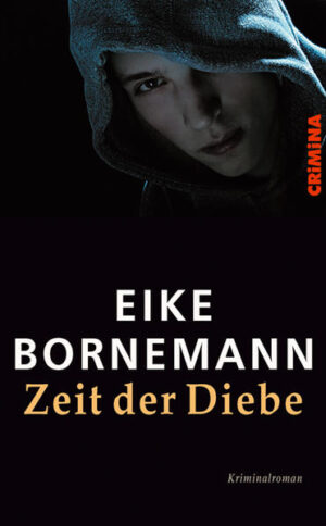 Postdam, Mitte der 90er Jahre. Eine Gruppe jugendlicher Obdachloser durchstreift leere Häuser und verlassene Fabriken. Ihre tiefe Angst und Entwurzelung kompensiert sie mit Coolheit. Die Köpfe der Clique sind Sinon und seine unmädchenhafte Schwester Bianca, die von allen Boi genannt wird. Sie ist die Erzählerin der Handlung. Als die Clique eines Nachts in den Laden des Antik-Händlers Kalmus einbricht, werden die Jugendlichen vom Besitzer ertappt. Statt sie an die Polizei auszuliefern, schließt Kalmus mit den Geschwistern einen Pakt. Er lässt sie den Schaden abarbeiten, kauft ihnen Diebesgut ab  Aus Jugendlichen, die ihre Grenzen testen und nach Orientierung in einem untergegangenen Land, in einer kompliziert gewordenen Welt suchen, werden damit professionelle Taschendiebe. Kalmus fungiert als Hehler und eine Art Vaterersatz. Die Gang trainiert, um bei ihren Diebeszügen auf der Straße sicher zu sein, und wird immer erfolgreicher. Bis es Spannungen gibt und Streit zwischen den Geschwistern. Bis es einen Toten gibt 