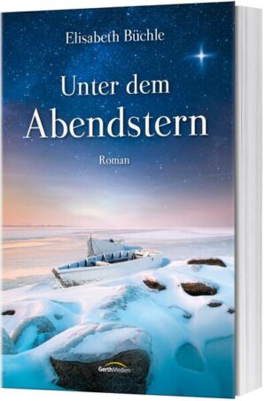 Der vierte und letzte Teil der winterlichen Romanreihe von Bestsellerautorin Elisabeth Büchle: Als Katja über die Weihnachtsfeiertage in ein einsames Ferienhaus in Dänemark eingeladen wird, stimmt sie spontan zu. Am tief verschneiten Ziel angekommen, stellt sie fest, dass sich unter den Miturlaubern auch ihr heimlicher Schwarm Nick befindet. Als ein Schneesturm aufzieht und das Ferienhaus von der Außenwelt abschneidet, sehen sich die Gäste mit einigen Herausforderungen konfrontiert ... Eine romantische Weihnachtsgeschichte, die aufzeigt, dass mit Gottes Hilfe Sorgen, Ängste und Selbstzweifel überwunden werden können.