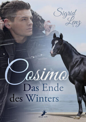 Nach dem Tod seiner Schwester ist Lou auf einmal für den Hengst Cosimo verantwortlich. Ein schwieriges Pferd, mit dem niemand richtig klarkommt. Doch bald bemerkt er, dass es eine Verbindung zwischen ihnen gibt. Denn Cosimo ist anders als andere Pferde. Eine alte Seele, ein Wandler 