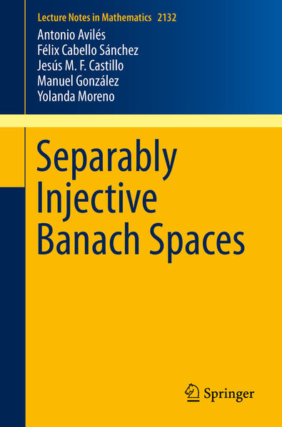 Separably Injective Banach Spaces | Gay Books & News