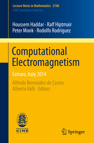 Computational Electromagnetism | Gay Books & News