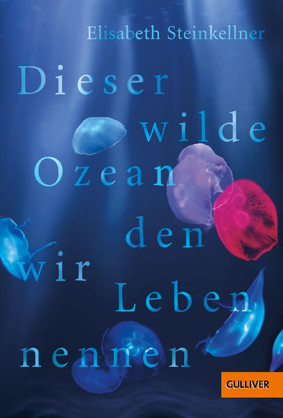 Dieser wilde Ozean, den wir Leben nennen | Gay Books & News