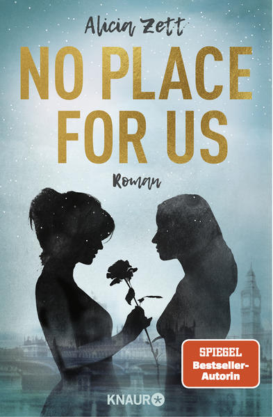 No Place For Us | Gay Books & News