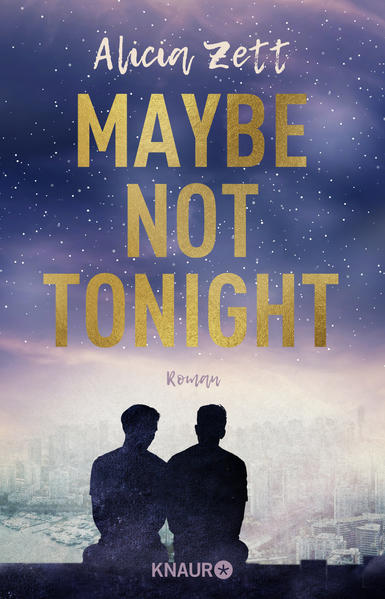 Maybe Not Tonight | Gay Books & News