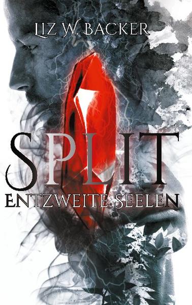 Split: Entzweite Seelen | Gay Books & News