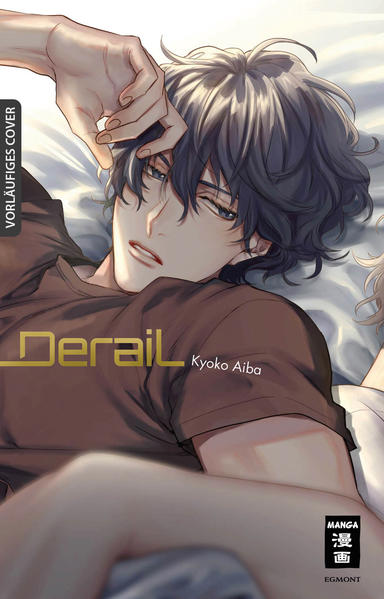 Derail - Special Edition | Gay Books & News