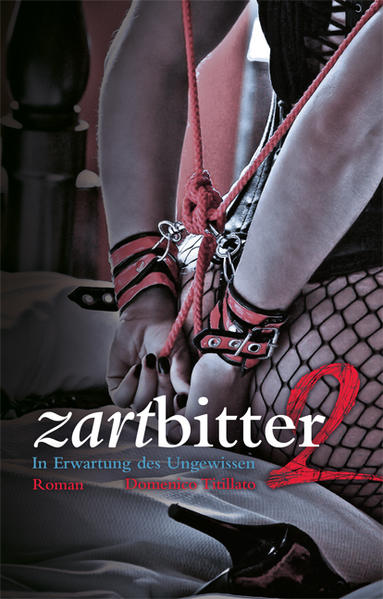 Zartbitter 2 | Gay Books & News