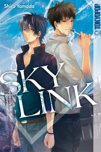Sky Link | Gay Books & News