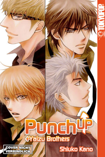 Punch Up + Yaizu Brothers | Gay Books & News