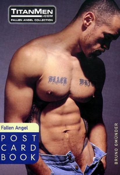 Best of Fallen Angel | Gay Books & News