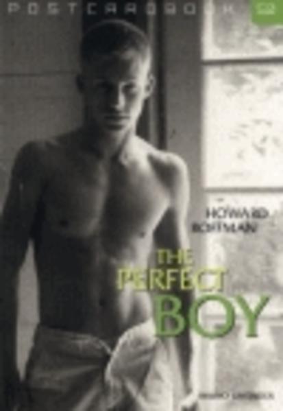 The Perfect Boys | Gay Books & News