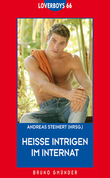 Heisse Intrigen im Internat | Gay Books & News