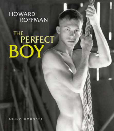 The Perfect Boy | Gay Books & News
