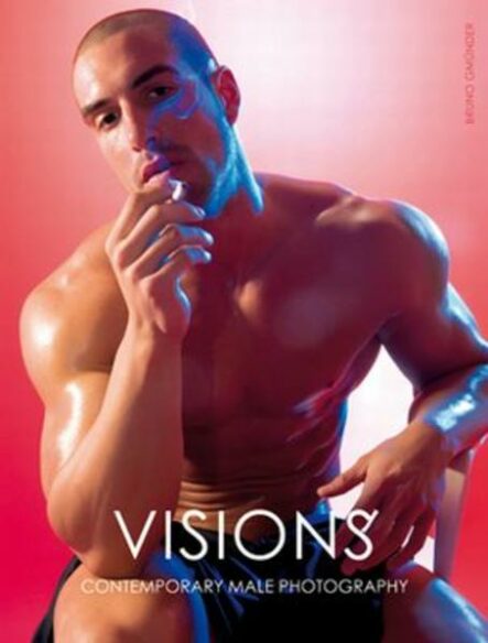 Vision | Gay Books & News