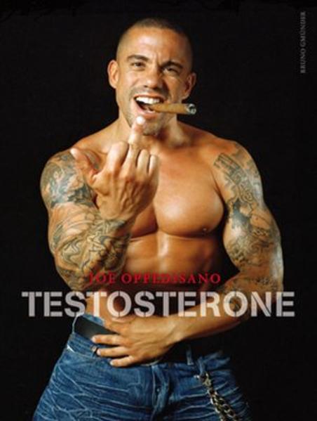 Testosterone | Gay Books & News