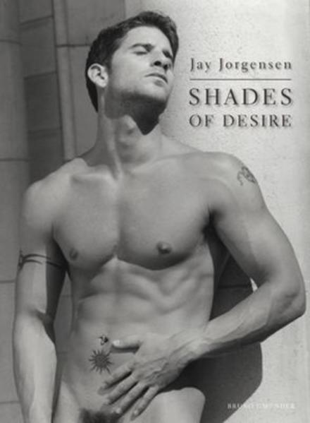 Shades of Desire | Gay Books & News