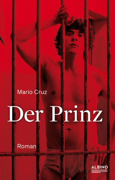 Der Prinz | Gay Books & News