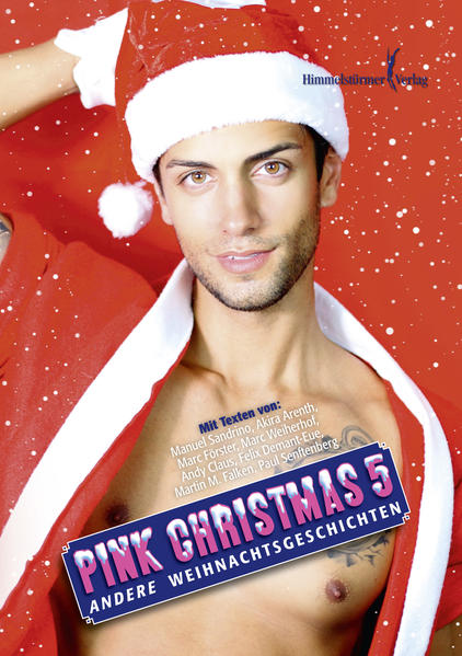 Pink Christmas 5 | Gay Books & News