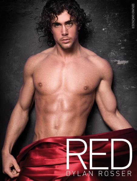 Red | Gay Books & News