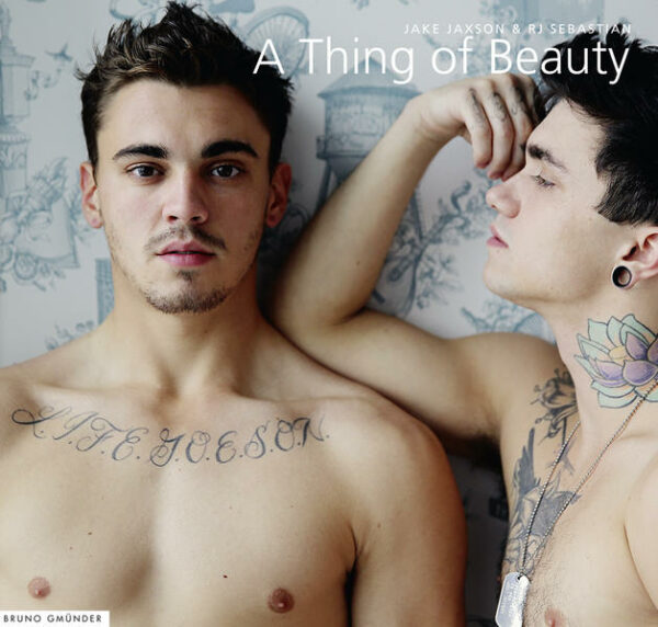 A Thing of Beauty | Gay Books & News