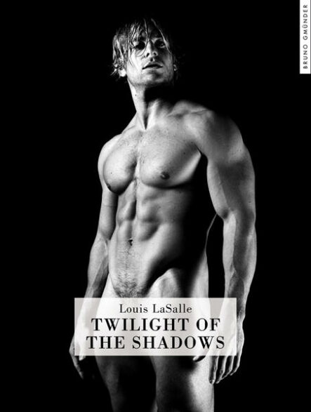Twilight of the Shadows | Gay Books & News